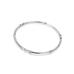 Nettare Stainless steel Silver Plated Bangle EB076