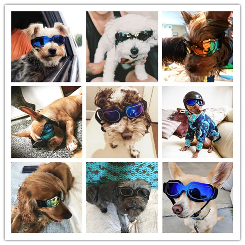 Pet Glasses Pet Sunglasses Cat Sunglasses