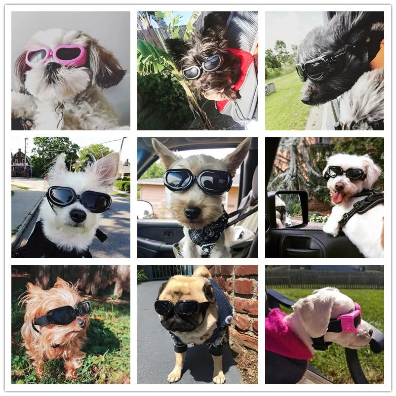 Pet Sunglasses Cat Dog Goggles Summer UV Protection