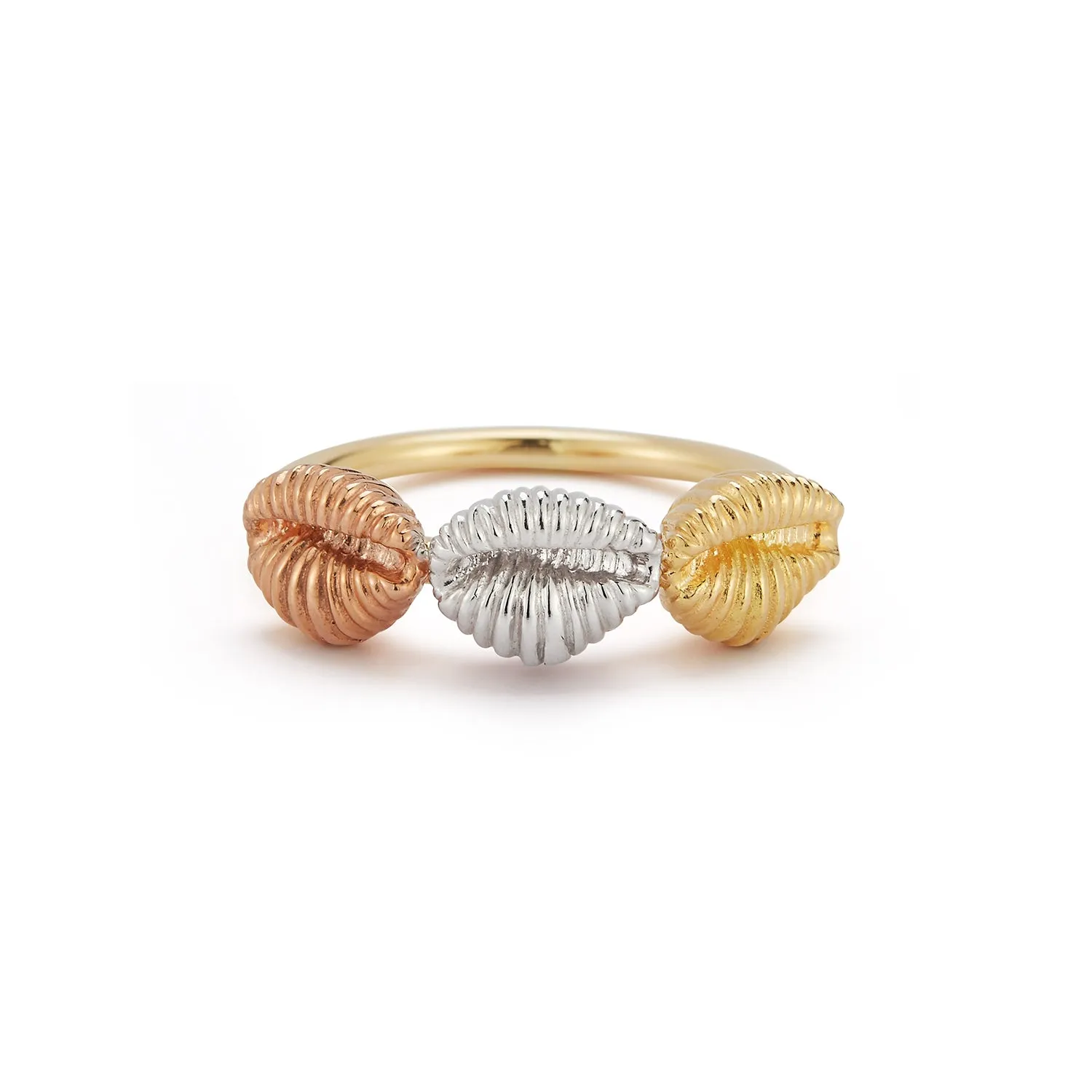 Three Baby Shells Ring